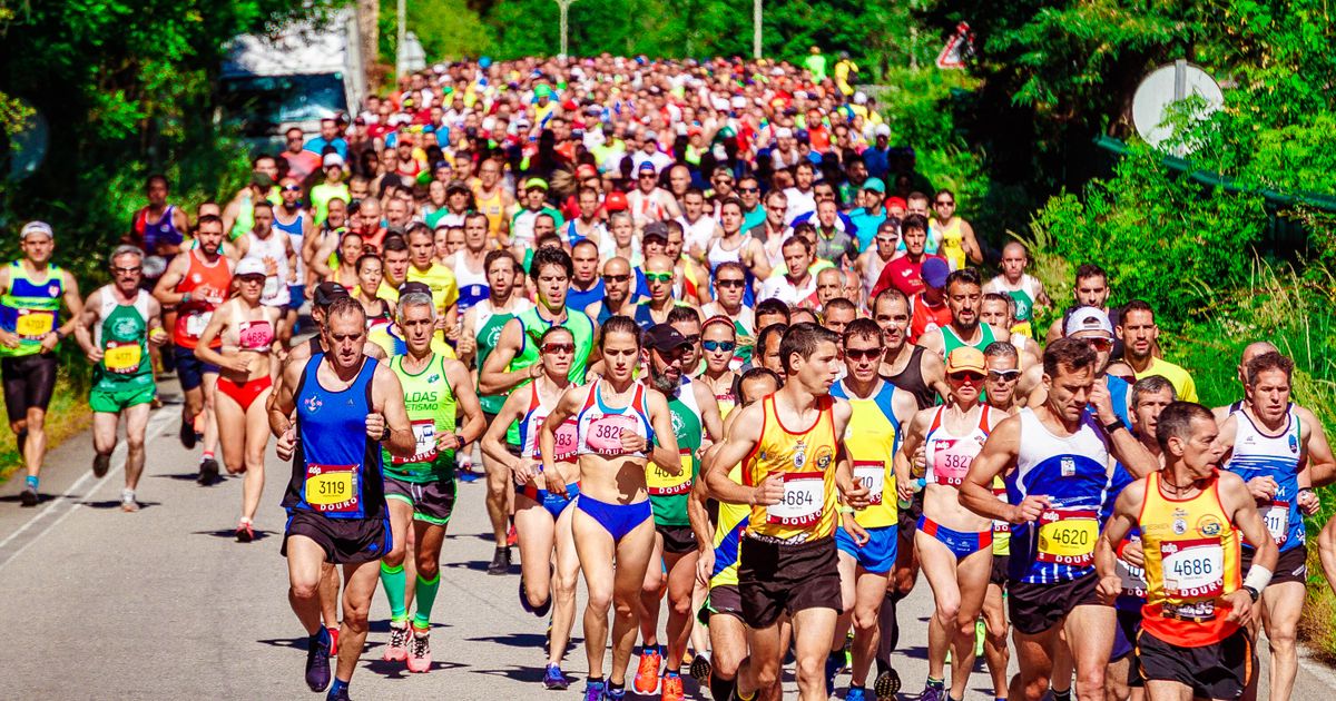 Runners on a sunny road during a marathon